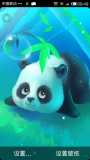 超可爱超萌的小熊猫动态壁纸 Bamboo Panda